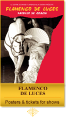 FLAMENCO DE LUCES - Posters and tickets for shows