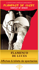 FLAMENCO DE LUCES - Affiches et billets de spectacles