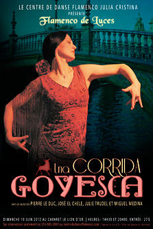 FLAMENCO DE LUCES, una corrida goyesca